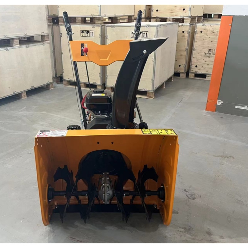 Schneefräsenmaschine schienen  – Snow Blower Single Bewertung und Preis